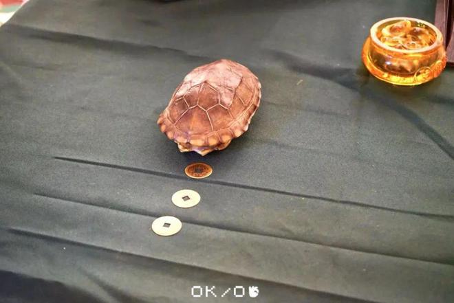 我逛到了超治愈的冬日市集。开元棋牌app在钱新CBD(图13)